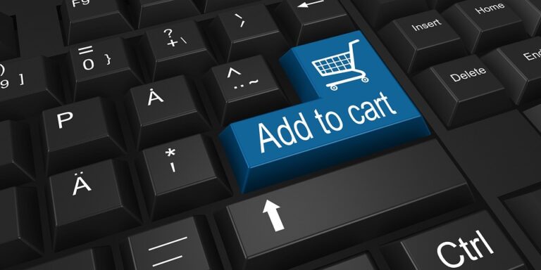 Optimizing Ecommerce Categories for Search Engine Visibility